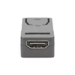DIGITUS AK-340602-000-S Full HD 60Hz Dual-Mode 1.1a DisplayPort - HDMI type A adapter