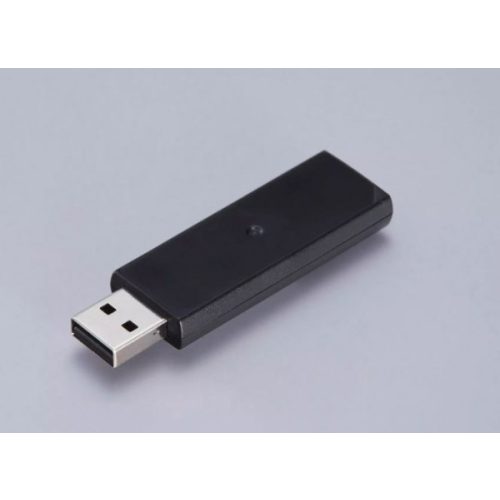 Wireless LAN Interface-P1 (5GHz)