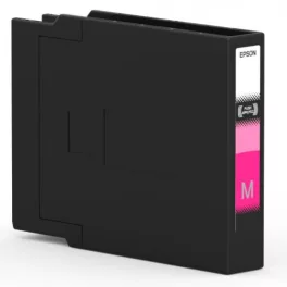 Epson T14B3 Patron Ma K /o/