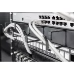 DIGITUS DN-97602 19" 1U gyűrűs fekete kábelrendező