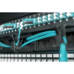 DIGITUS DN-97663 19"" 1U gyűrűs fésűs fekete kábelrendező