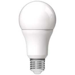 LED izzó, E27, gömb, A60, 8W, 806lm, 6400K, AVIDE