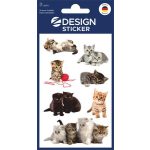 Matrica, papír,  3 ív, 76x120 mm, AVERY ZWECKFORM, "Z-Desing No.55971", játékos kölyök cicák