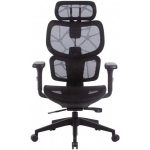 Irodai forgószék, hálós ülőlap és háttámla, fekete műanyag lábkereszt, "Humantech", fekete