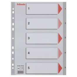 Regiszter, műanyag, A4, 1-5, ESSELTE, szürke