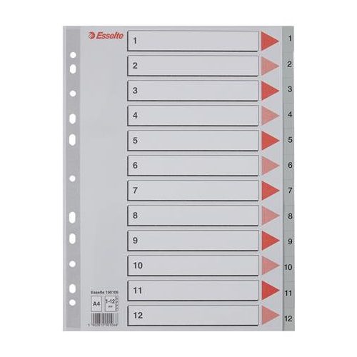 Regiszter, műanyag, A4, 1-12, ESSELTE, szürke