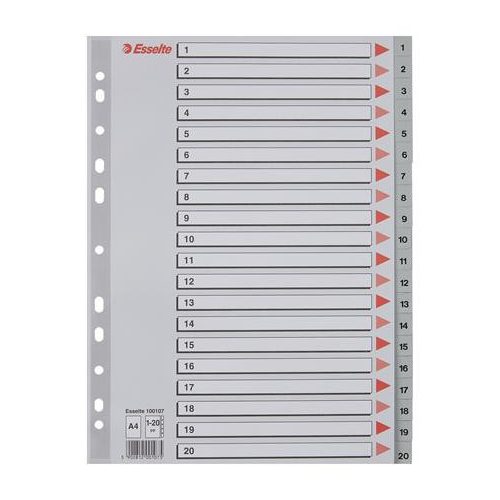 Regiszter, műanyag, A4, 1-20, ESSELTE, szürke