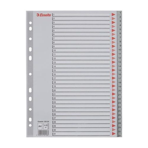 Regiszter, műanyag, A4, 1-31, ESSELTE, szürke