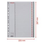 Regiszter, műanyag, A4, 1-31, ESSELTE, szürke