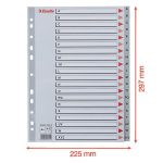 Regiszter, műanyag, A4, A-Z, ESSELTE, szürke