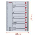 Regiszter, műanyag, A4, Jan-Dec, ESSELTE, szürke