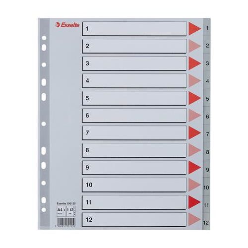 Regiszter, műanyag, A4 Maxi, 1-12, ESSELTE, szürke