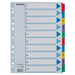 Regiszter, karton, A4, 1-10, ESSELTE "Mylar"