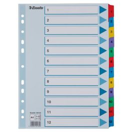 Regiszter, karton, A4, 1-12, ESSELTE "Mylar"