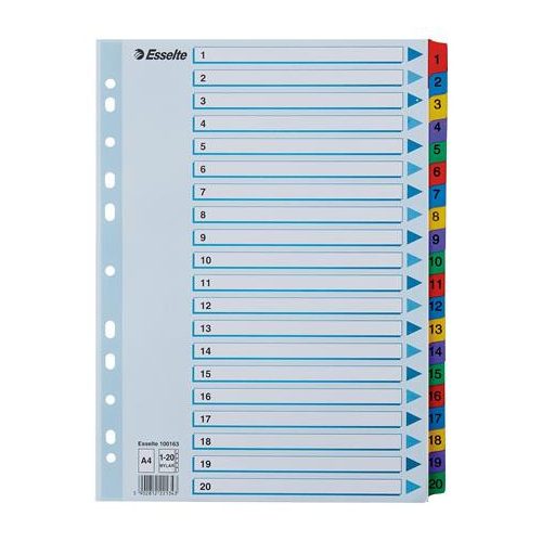 Regiszter, karton, A4, 1-20, ESSELTE "Mylar"