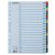 Regiszter, karton, A4, 1-20, ESSELTE "Mylar"