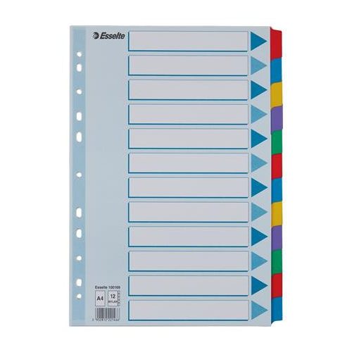 Regiszter, laminált karton, A4, 12 részes, ESSELTE "Mylar"