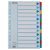 Regiszter, laminált karton, A4, 12 részes, ESSELTE "Mylar"