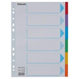   Regiszter, karton, A4, 6 részes, írható előlappal, ESSELTE "Standard", színes