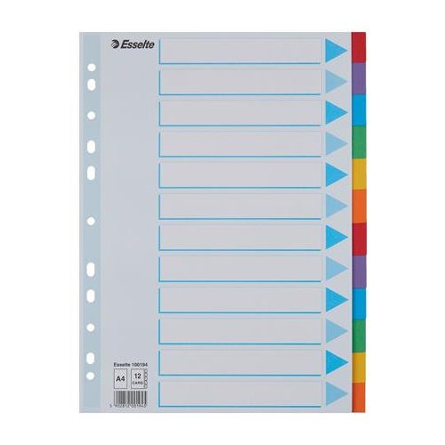 Regiszter, karton, A4, 12 részes, írható előlappal, ESSELTE "Standard", színes