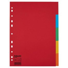   Regiszter, karton, A4, 5 részes, ESSELTE "Economy", színes