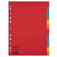 Regiszter, karton, A4, 12 részes, ESSELTE "Economy", színes