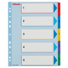   Regiszter, laminált karton, A4 maxi, 1-5, újraírható, ESSELTE