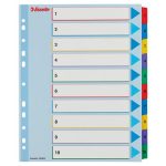 Regiszter, laminált karton, A4 Maxi, 1-10, újraírható, ESSELTE