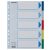 Regiszter, műanyag, A4, 5 részes, ESSELTE
