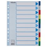 Regiszter, műanyag, A4, 10 részes, ESSELTE