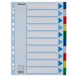 Regiszter, műanyag, A4, 10 részes, ESSELTE