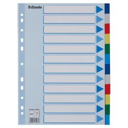 Regiszter, műanyag, A4, 12 részes, ESSELTE