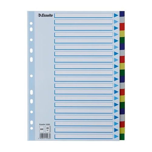 Regiszter, műanyag, A4, 20 részes, ESSELTE