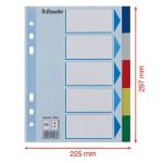 Regiszter, műanyag, A5, 5 részes, ESSELTE, színes