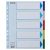 Regiszter, műanyag, A4 Maxi, 5 részes, ESSELTE