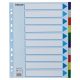 Regiszter, műanyag, A4 Maxi, 10 részes, ESSELTE