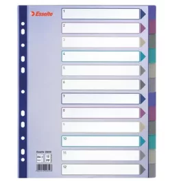 Regiszter, műanyag, A4 Maxi, 12 részes, ESSELTE, színes