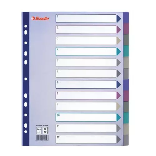 Regiszter, műanyag, A4 Maxi, 12 részes, ESSELTE, színes