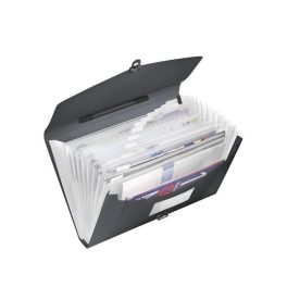   Harmonikatáska, A4, PP, 12 rekeszes, ESSELTE "Vivida", fekete