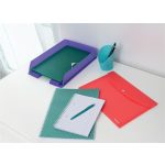 Spirálfüzet, A5, vonalas, 80 lap, ESSELTE "Colour'Breeze", korall