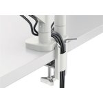 Monitortartó-kar, kettő monitorhoz, LEITZ "Ergo Dual", világosszürke