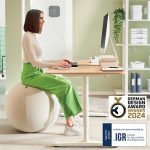 Ülőlabda, nehezékkel, 55cm, LEITZ "Ergo Active", világosszürke