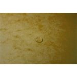 Gumis mappa, karton, A4, 40 mm, EXACOMPTA, sárga