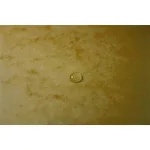 Gumis mappa, karton, A4, 60 mm, EXACOMPTA, sárga