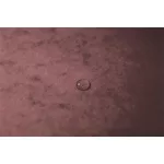 Gumis mappa, prespán, A4, EXACOMPTA "Skandi", antik rózsaszín