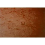 Gumis mappa, prespán, A4, EXACOMPTA, narancs