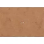 Gumis mappa, prespán, A4, EXACOMPTA, barna