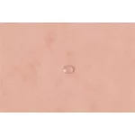 Gumis mappa, prespán, A4, EXACOMPTA, "Aquarel", korall
