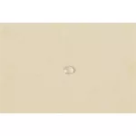 Gumis mappa, prespán, A4, EXACOMPTA, elefántcsont