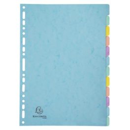   Regiszter, karton, A4, 12 részes, EXACOMPTA "Aquarel"